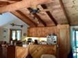 House Design